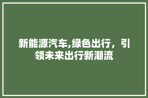 新能源汽车,绿色出行，引领未来出行新潮流 GoogleSEO