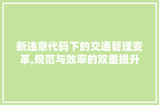 新违章代码下的交通管理变革,规范与效率的双重提升 神马SEO