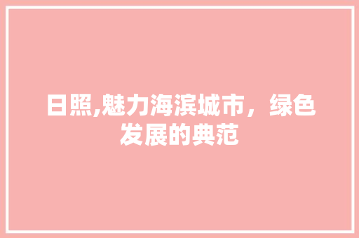 日照,魅力海滨城市，绿色发展的典范 百度SEO
