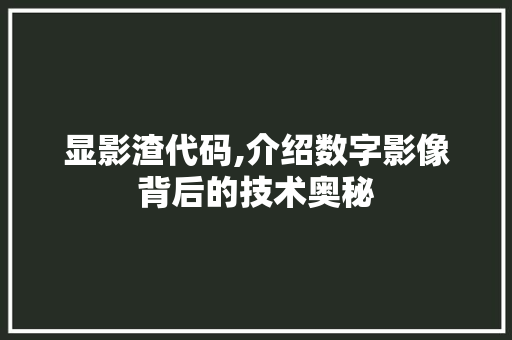 显影渣代码,介绍数字影像背后的技术奥秘 百度SEO