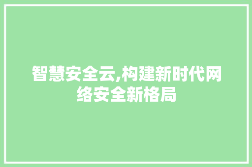 智慧安全云,构建新时代网络安全新格局