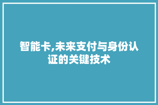 智能卡,未来支付与身份认证的关键技术 GoogleSEO
