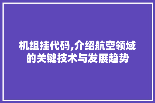 机组挂代码,介绍航空领域的关键技术与发展趋势 GoogleSEO