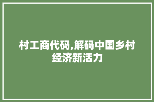 村工商代码,解码中国乡村经济新活力 GoogleSEO