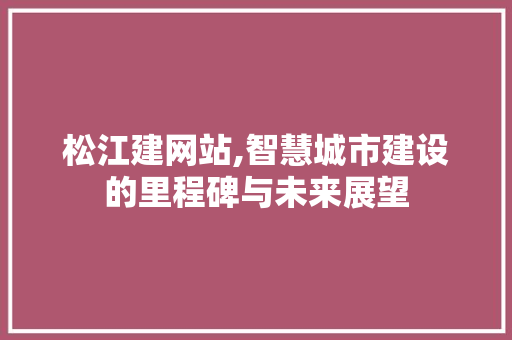 松江建网站,智慧城市建设的里程碑与未来展望 百度SEO