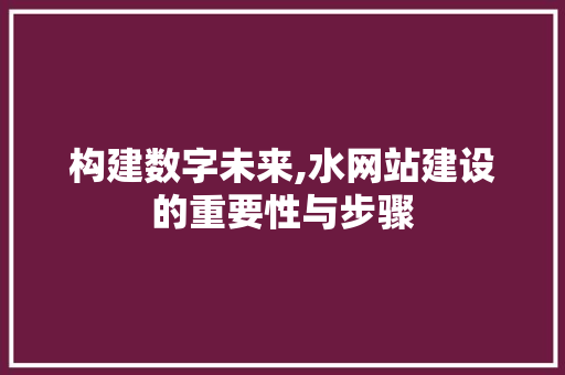 构建数字未来,水网站建设的重要性与步骤 必应SEO