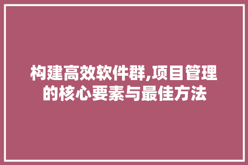 构建高效软件群,项目管理的核心要素与最佳方法 GoogleSEO