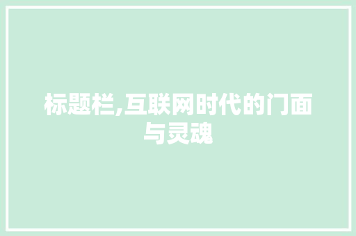 标题栏,互联网时代的门面与灵魂 神马SEO