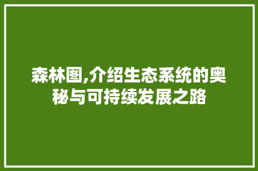 森林图,介绍生态系统的奥秘与可持续发展之路 神马SEO