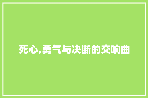 死心,勇气与决断的交响曲 必应SEO