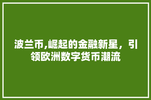 波兰币,崛起的金融新星，引领欧洲数字货币潮流 神马SEO