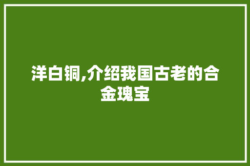 洋白铜,介绍我国古老的合金瑰宝 GoogleSEO