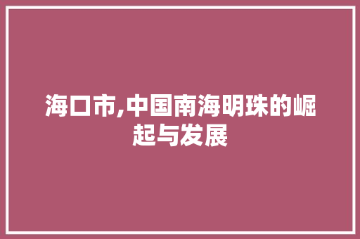 海口市,中国南海明珠的崛起与发展 必应SEO