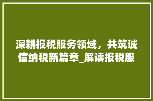深耕报税服务领域，共筑诚信纳税新篇章_解读报税服务协议
