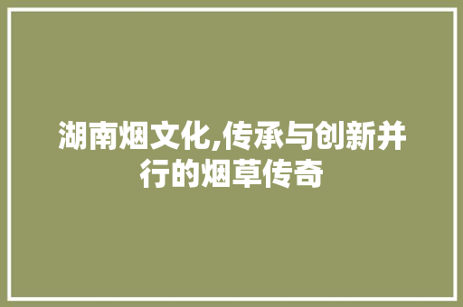 湖南烟文化,传承与创新并行的烟草传奇 GoogleSEO