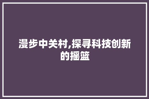 漫步中关村,探寻科技创新的摇篮 搜狗SEO