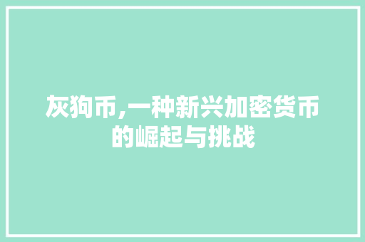 灰狗币,一种新兴加密货币的崛起与挑战 GoogleSEO