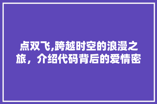 点双飞,跨越时空的浪漫之旅，介绍代码背后的爱情密码 百度SEO