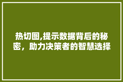 热切图,提示数据背后的秘密，助力决策者的智慧选择 GoogleSEO