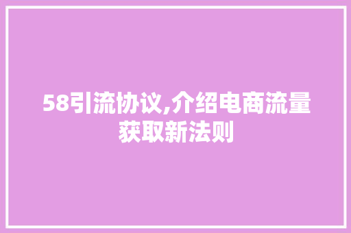 58引流协议,介绍电商流量获取新法则 GoogleSEO