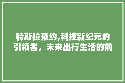 特斯拉预约,科技新纪元的引领者，未来出行生活的前瞻探索 神马SEO