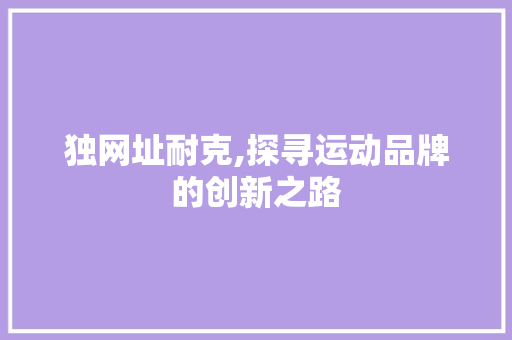 独网址耐克,探寻运动品牌的创新之路 神马SEO