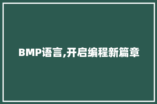 BMP语言,开启编程新篇章 必应SEO