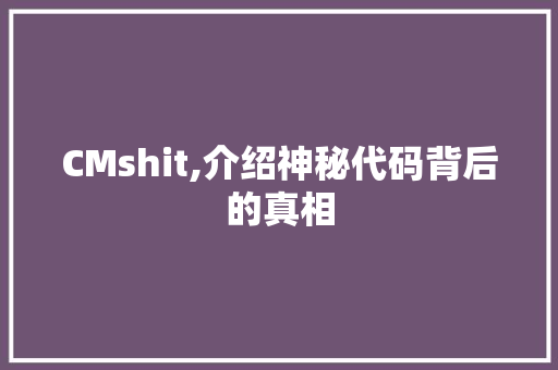 CMshit,介绍神秘代码背后的真相 GoogleSEO