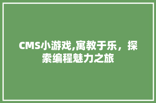 CMS小游戏,寓教于乐，探索编程魅力之旅 必应SEO
