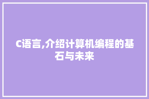 C语言,介绍计算机编程的基石与未来 搜狗SEO