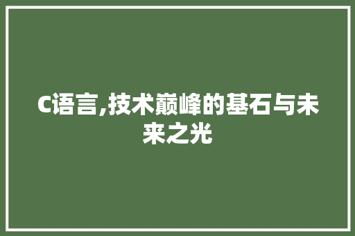 C语言,技术巅峰的基石与未来之光 GoogleSEO
