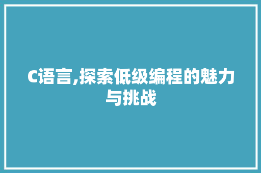 C语言,探索低级编程的魅力与挑战 百度SEO