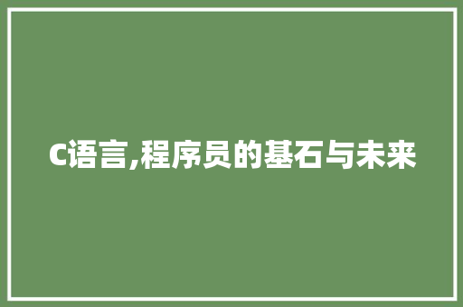 C语言,程序员的基石与未来