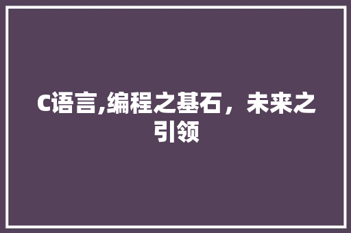 C语言,编程之基石，未来之引领 百度SEO