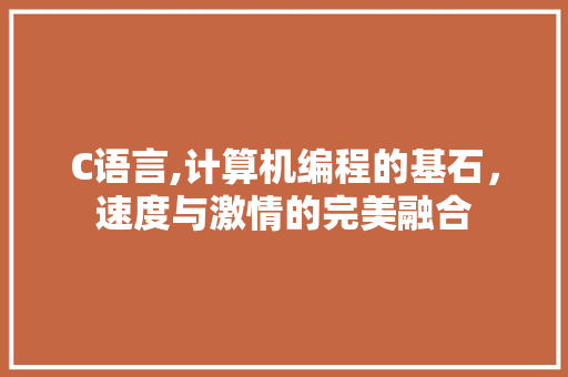 C语言,计算机编程的基石，速度与激情的完美融合 百度SEO