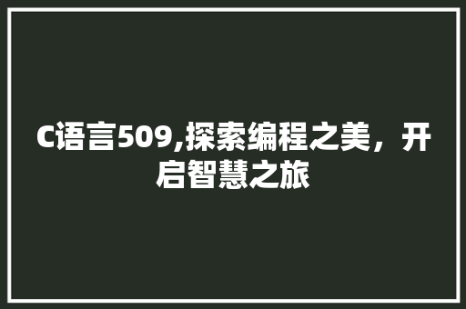 C语言509,探索编程之美，开启智慧之旅
