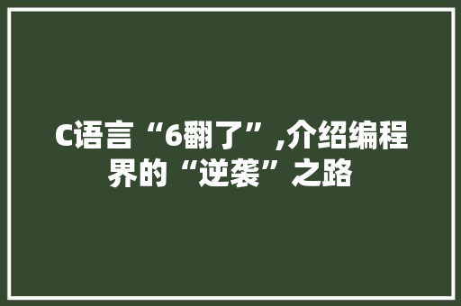 C语言“6翻了”,介绍编程界的“逆袭”之路 百度SEO