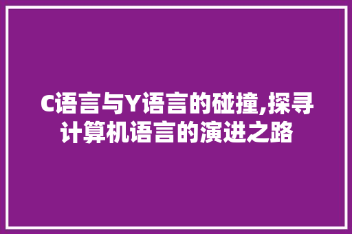 C语言与Y语言的碰撞,探寻计算机语言的演进之路 百度SEO