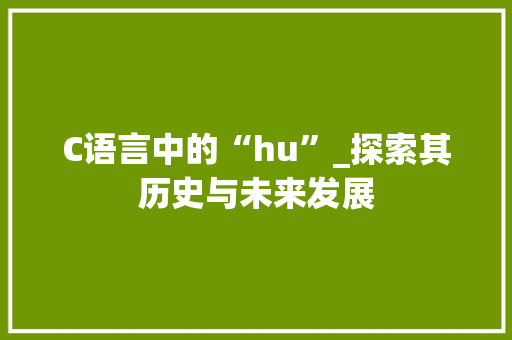 C语言中的“hu”_探索其历史与未来发展 GoogleSEO