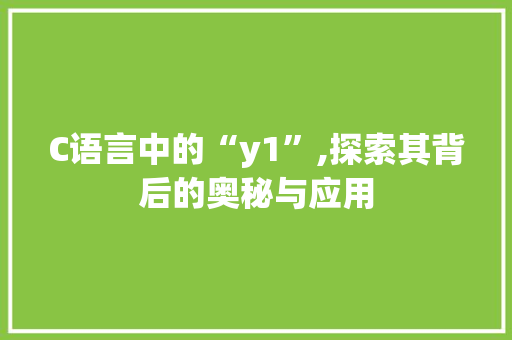 C语言中的“y1”,探索其背后的奥秘与应用 GoogleSEO