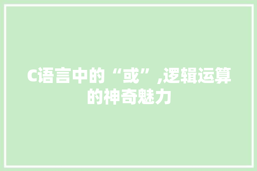 C语言中的“或”,逻辑运算的神奇魅力 GoogleSEO
