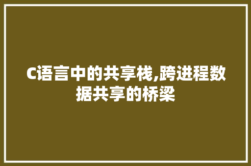 C语言中的共享栈,跨进程数据共享的桥梁 必应SEO