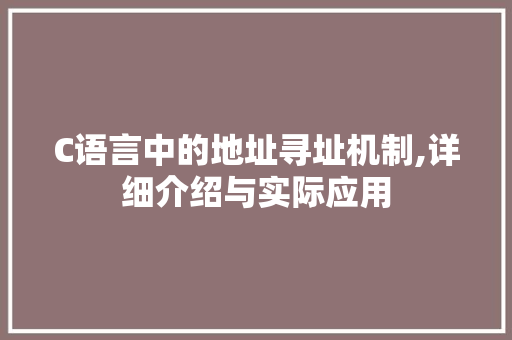 C语言中的地址寻址机制,详细介绍与实际应用 必应SEO