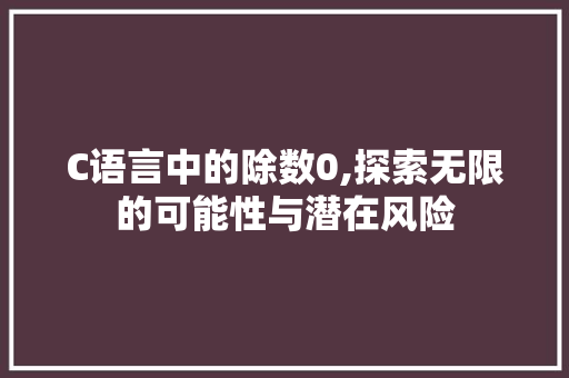 C语言中的除数0,探索无限的可能性与潜在风险 必应SEO