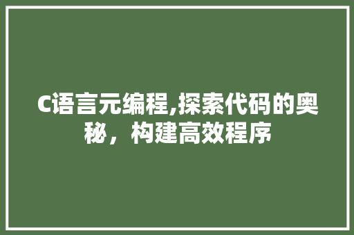 C语言元编程,探索代码的奥秘，构建高效程序 GoogleSEO
