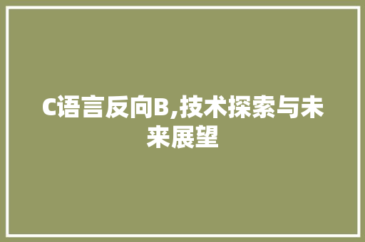 C语言反向B,技术探索与未来展望