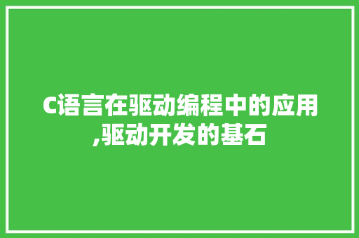 C语言在驱动编程中的应用,驱动开发的基石 必应SEO