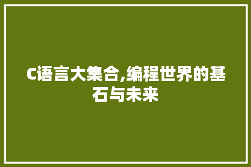 C语言大集合,编程世界的基石与未来 搜狗SEO