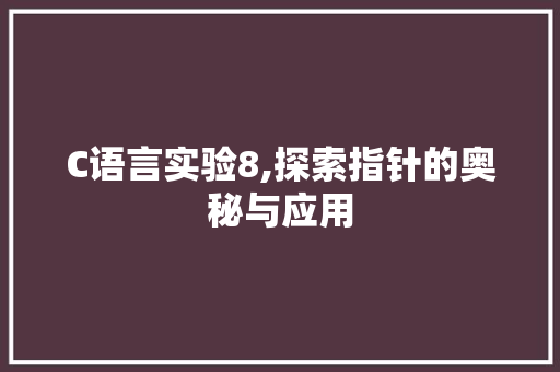 C语言实验8,探索指针的奥秘与应用 百度SEO