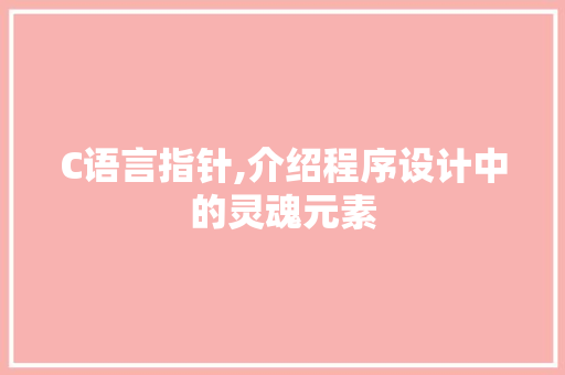 C语言指针,介绍程序设计中的灵魂元素 必应SEO